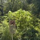 게으름의 낭만 이미지