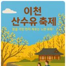 준우골진입농로 | 봄을 가장 먼저 깨우는 노란 유혹! ‘이천 산수유 축제’ 완전 정복