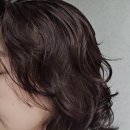 그로잉살롱 지제동삭점