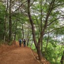 봉성산 공원 이미지