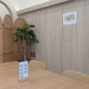 김원배소아과 이미지