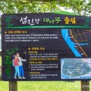 섬진강대숲길 이미지