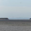 화성방조제 네이버블로그