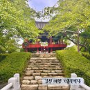 남면오일시장 | 경북 김천 가볼만한곳 추천 연꽃 연화지 황금시장 김천여행코스