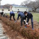 보성미가 이미지