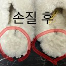 예스크린 이미지