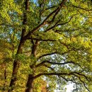 경북종합자동차정비 이미지