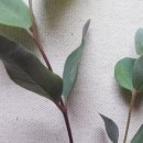 은우농장 이미지