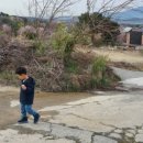 더지냄풀빌라 이미지