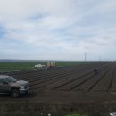 광야농장 이미지