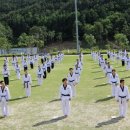 사계절푸른솔 태권도 이미지