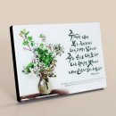 (주)디자인나무 이미지