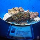 이스턴동물병원 | 롯데월드 아쿠아리움 (11개월 아기가 있는 30대 남자 후기)