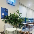베어커리Bearkery | [창동 베이커리 카페 추천] 햇살 가득한 감성 공간, 베어커리(Bearkery)