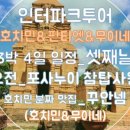 수영궁카페 네이버블로그