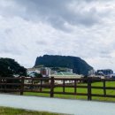 [제주/동쪽] 우도 당일치기 코스/전기차대여/우도 땅콩 버거/우도 짬뽕/인생네컷