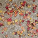 김신중농장 이미지