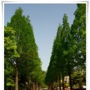 계명대학교정문건너 이미지