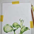 당신의 꽃그림 보테니컬 아트 이미지