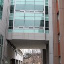 대원국제중학교 이미지