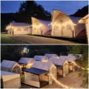 새연리조트 가평설악점 | 계곡 바로 앞 가평글램핑 오페라 감성 새연 카라반 글램핑 설악2호점