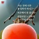 ⛱️ 사막에 사는 독특한 동물 8종 이미지