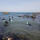 주전어촌체험휴양마을 이미지