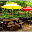 야생화펜션 이미지