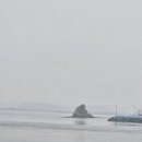 충남꽃게
