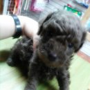 너애개만 이미지