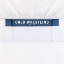 골드 레슬링 부산 이미지