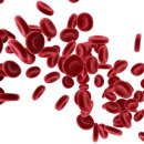 바디태크짐 이미지