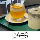 대식스(DAE6) 이미지