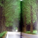 해빈농장 이미지