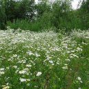 학의천변 이미지