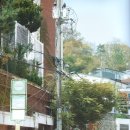 COSMOPOLITAN 카카오 검색결과