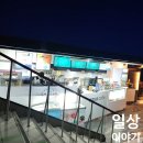 아쿠아플라넷 여수 | 여수 아쿠아 플라넷 후기~ 2탄