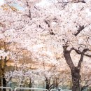 개화약국 이미지