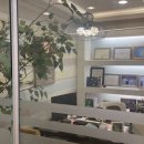 강남뷰베스트의원 이미지