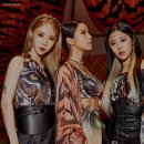 다이나믹트래블 이미지