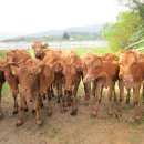 동해시-28 이미지