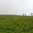 한울공원 관광휴게동 이미지