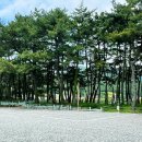 송정솔바람해변 주차장 이미지