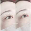래쉬끌레르