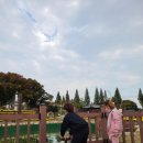 벽오동 중화요리 이미지