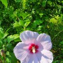 학운공원내 이미지