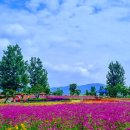 팔레트(대산) - 174562 | 팔레트(대산)