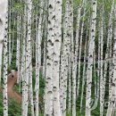 하남초교 이미지