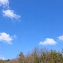 초록숲 하우스 이미지