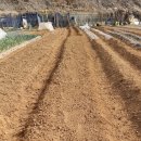 태연1농장 이미지